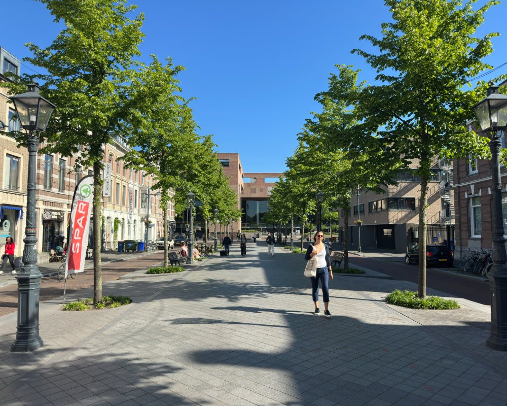 Een bomenrijke straat in het centrum van Rotterdam met een wandelaar