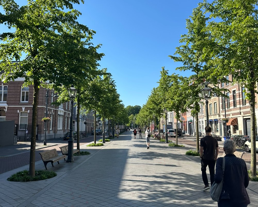 Wandelpromenade met bomen in Rotterdam