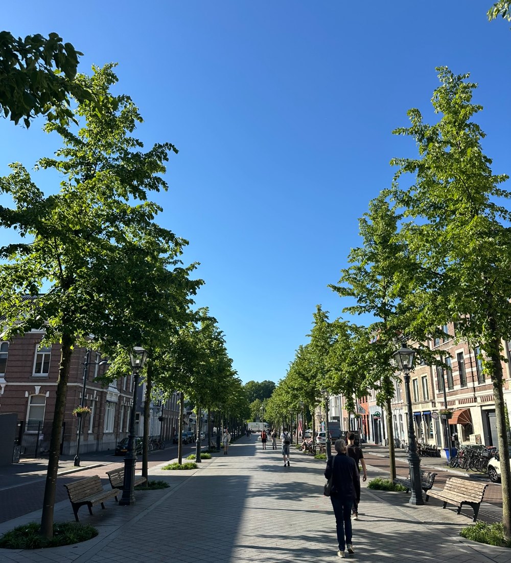 Een groene laan in Rotterdam met voorbijgangers